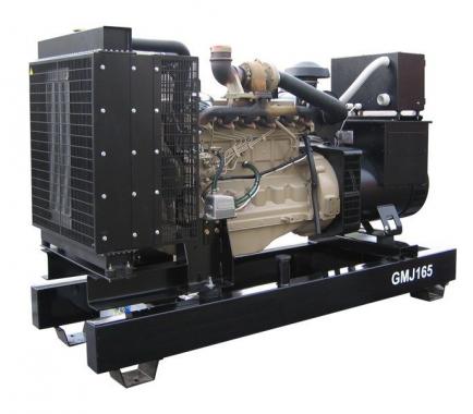 GMGen Power Systems GMJ165
